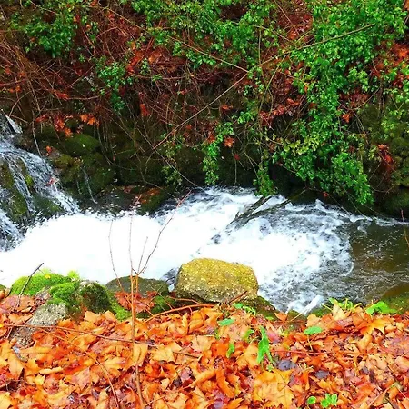 Quinta Da Lagarta *