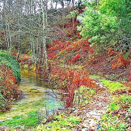 Quinta Da Lagarta *