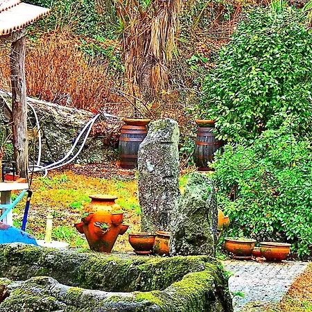 Farm stay Quinta Da Lagarta *