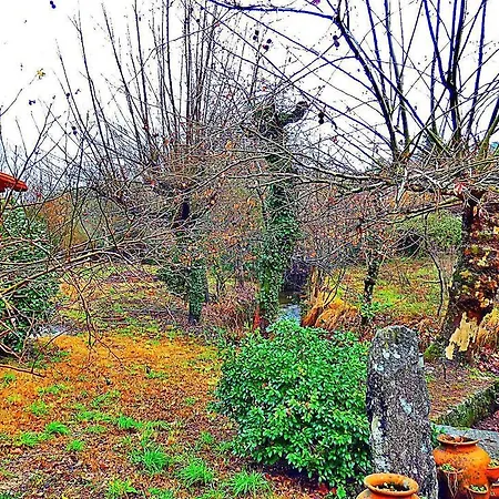 Farm stay Quinta Da Lagarta *