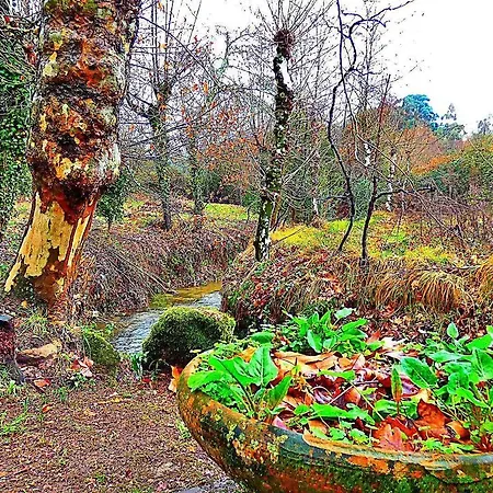 Quinta Da Lagarta Farm stay *
