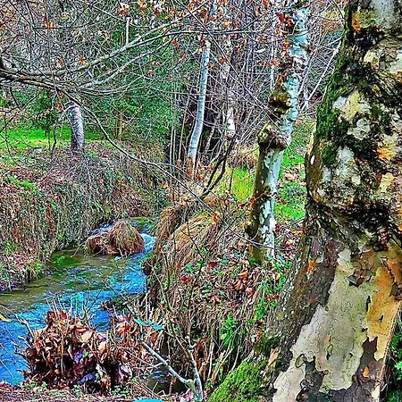 Quinta Da Lagarta *