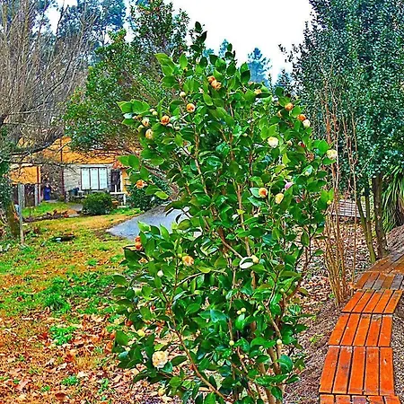 Quinta Da Lagarta * ブラガ