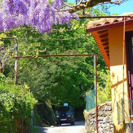 Quinta Da Lagarta Farm stay Braga