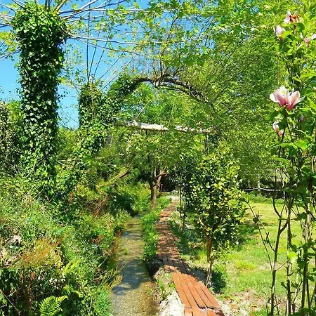 Quinta Da Lagarta Farm stay *