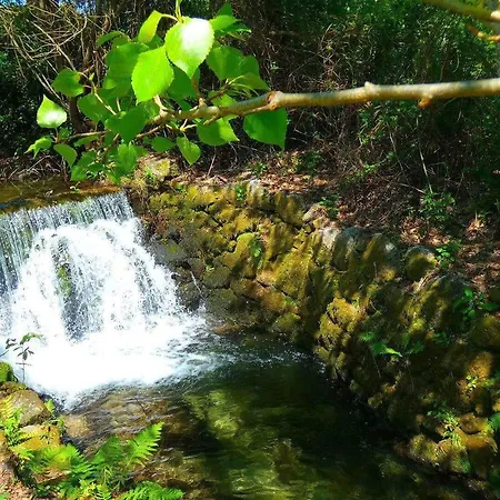 Quinta Da Lagarta ファームステイ