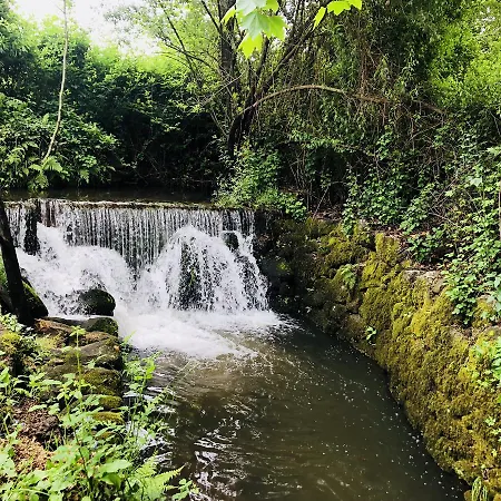Quinta Da Lagarta
