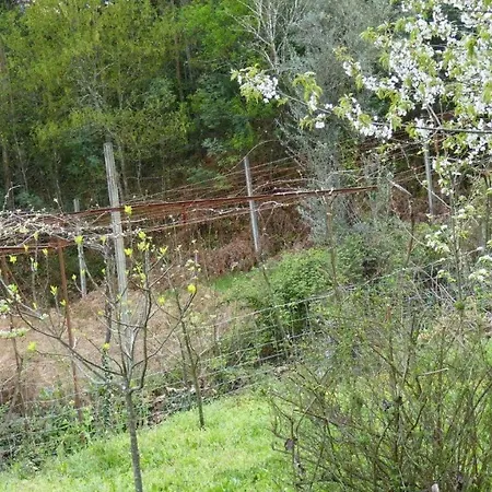 Quinta Da Lagarta *