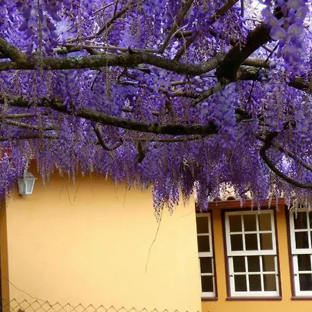 Farm stay Quinta Da Lagarta *