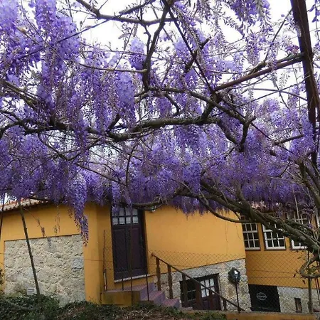 Bauernhof Quinta Da Lagarta
