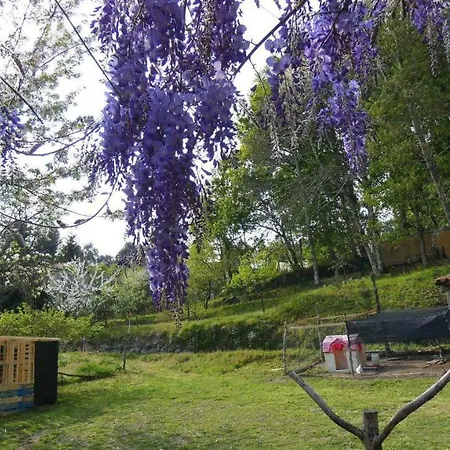 ファームステイ Quinta Da Lagarta *