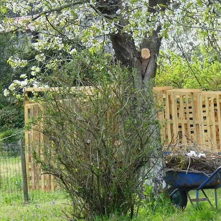 Quinta Da Lagarta Farm stay *