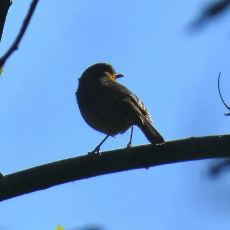 ファームステイ Quinta Da Lagarta ブラガ
